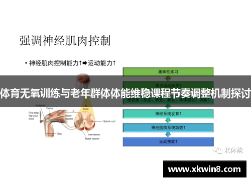 体育无氧训练与老年群体体能维稳课程节奏调整机制探讨